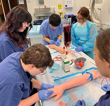 Surgical Summer Camp For College Students